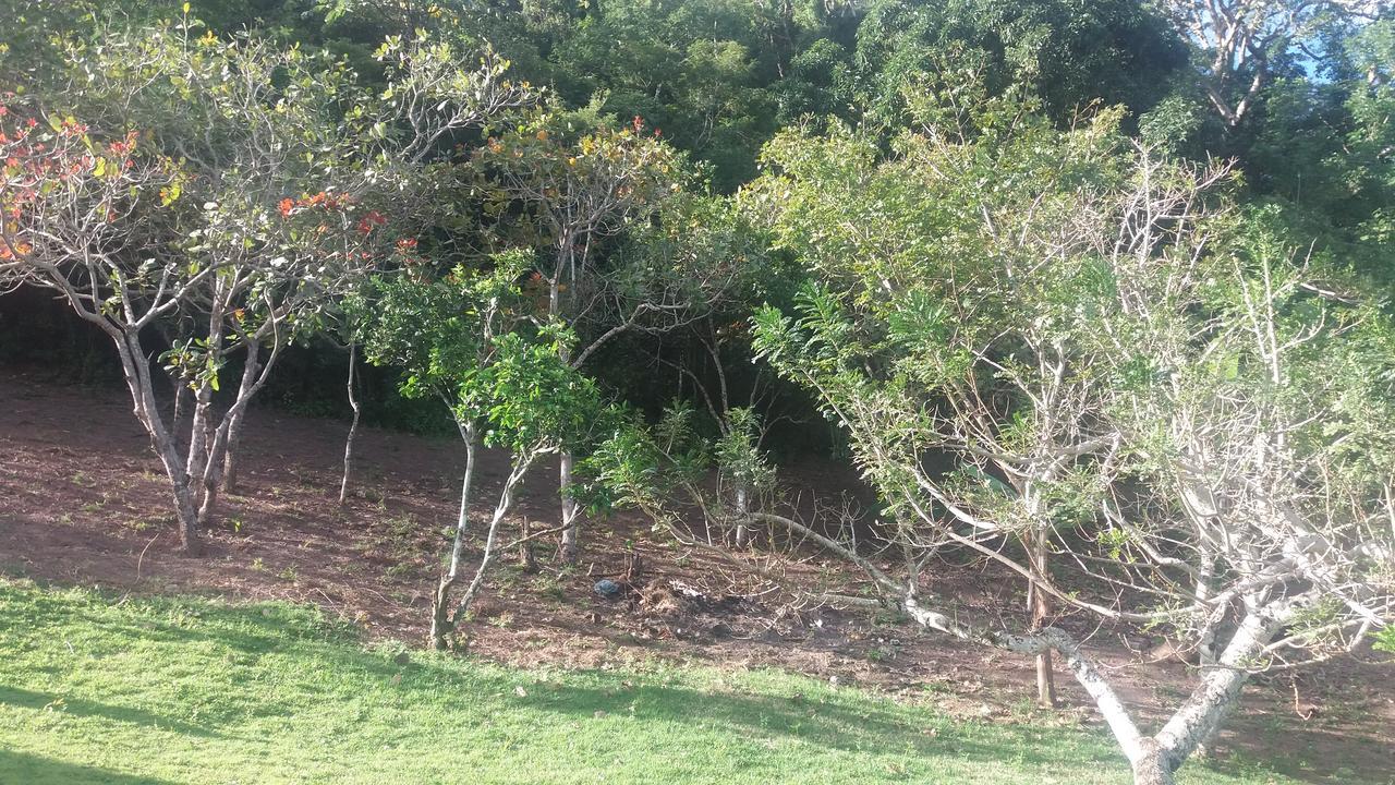 Refugio Na Serra Bananeiras Exterior foto